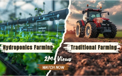 Hydroponics vs Traditional Farming: Navigating the Future of Agriculture