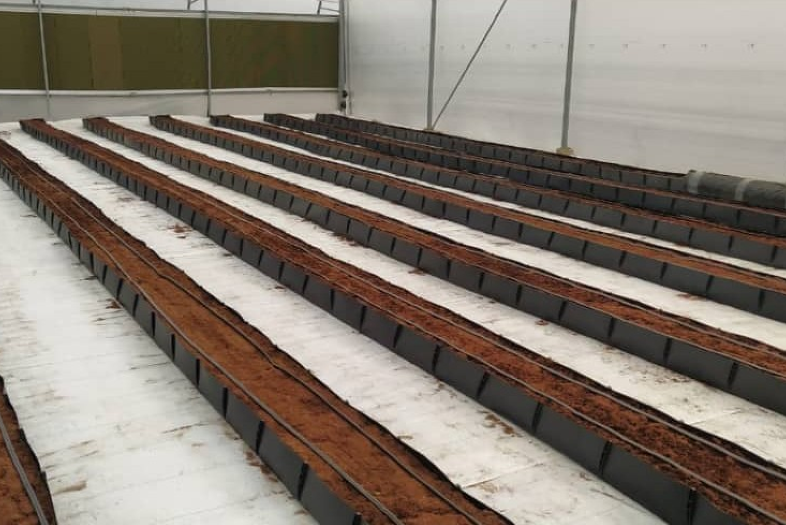cocopeat bufeering